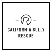 California Bully Rescue